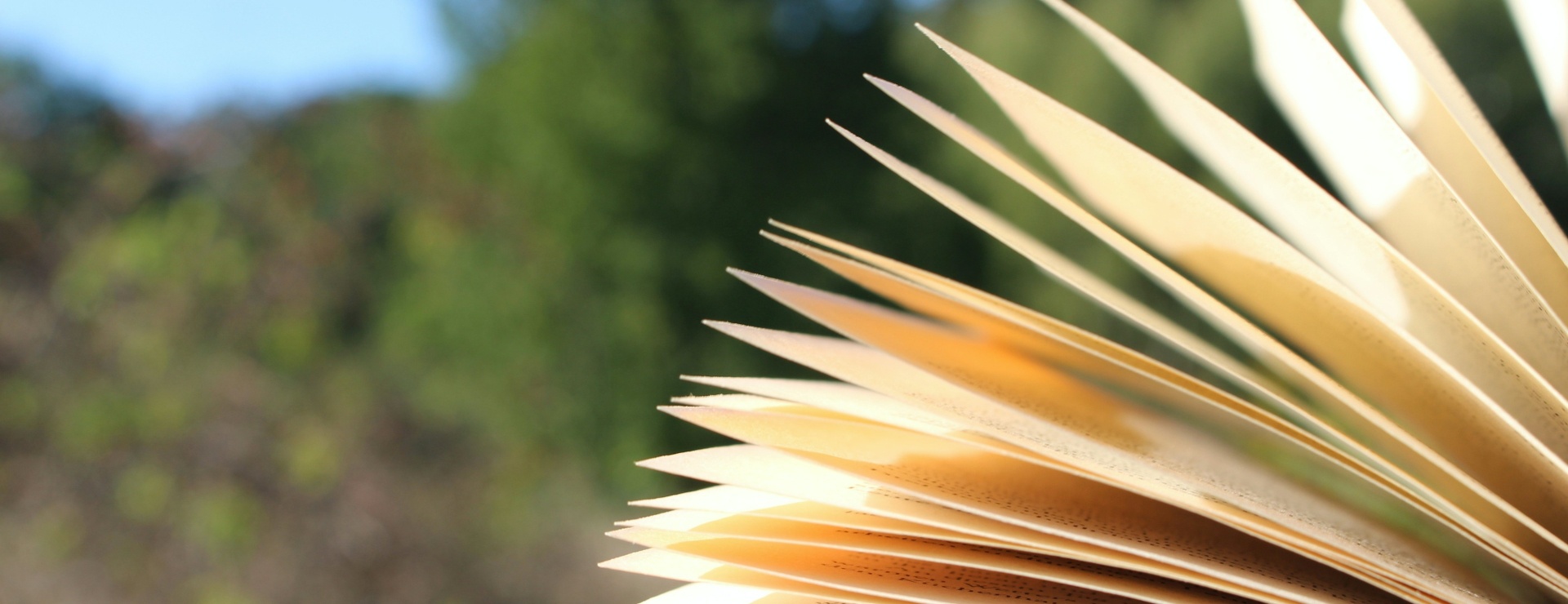 두번재 메인 비주얼 이미지